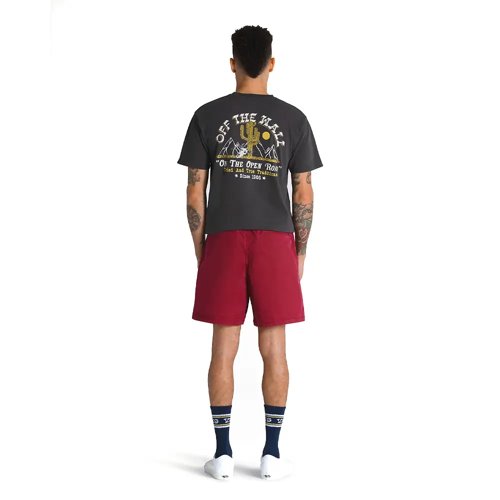Range Salt Wash Relaxed Elastic Short - Image 4